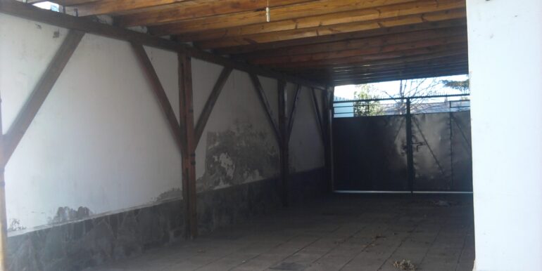 Foto0012