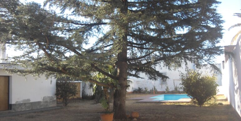 Foto0013
